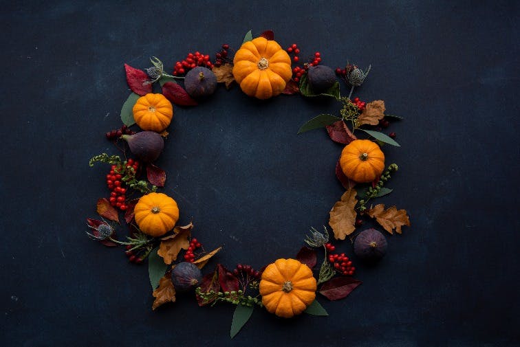 Cover Image for Join us for a festive wreath making workshop!