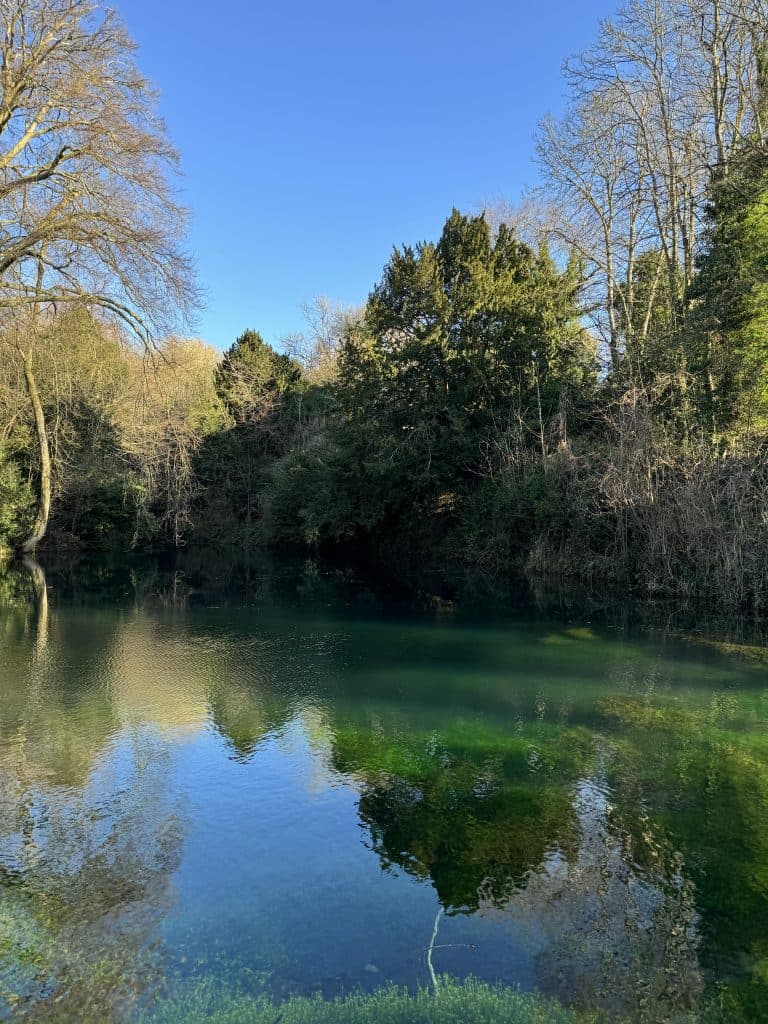 Cover Image for Gin-spiration in the Surrey Hills