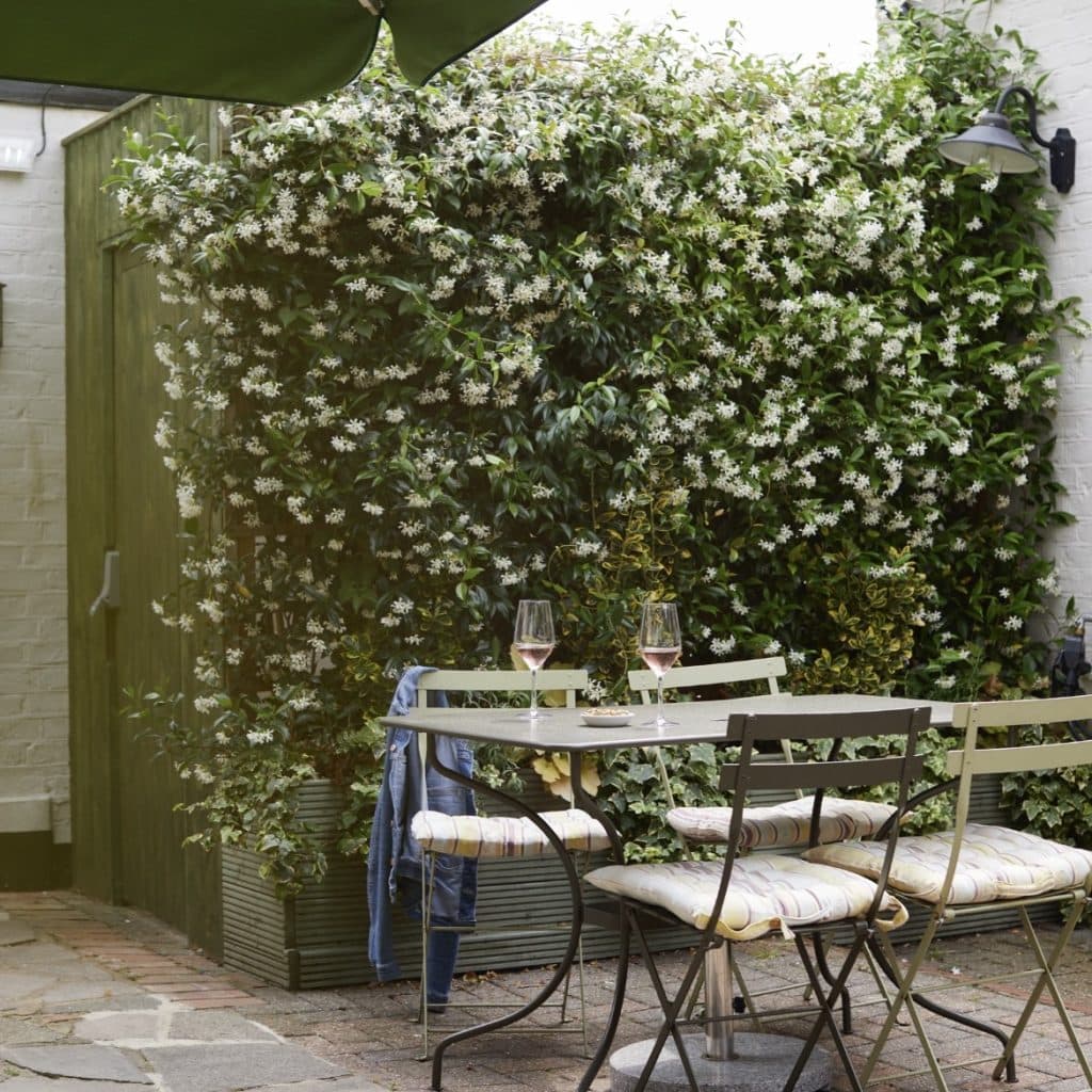 Cover Image for Join us for a bank holiday boogie